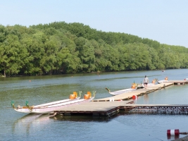 14. Győri Sárkányhajó Fesztivál (06.01.)